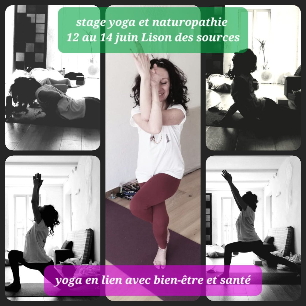 STAGE YOGA NATURO